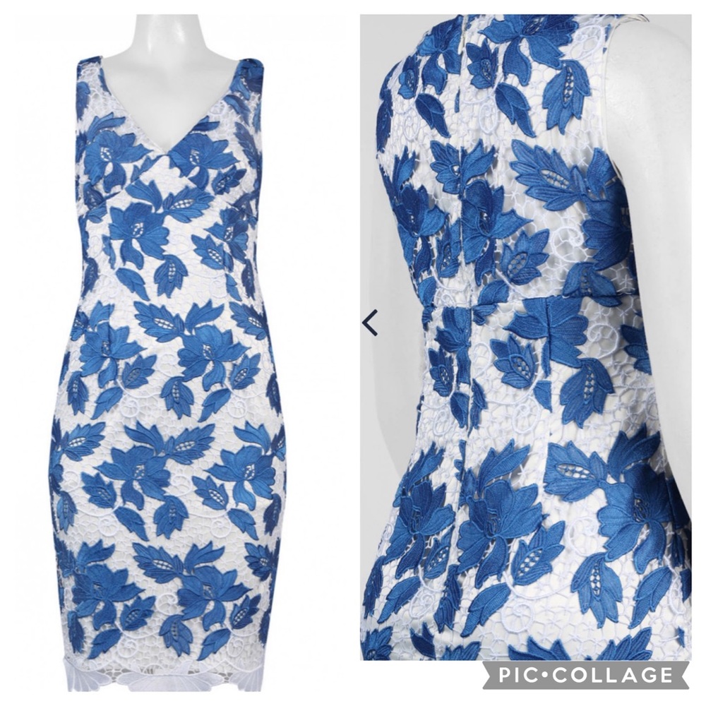 Adrianna papell blue and white lace sheath dress